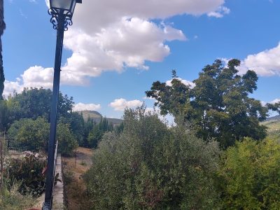 Finca rustica con casa de campo