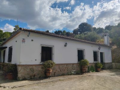 Finca rustica con casa de campo