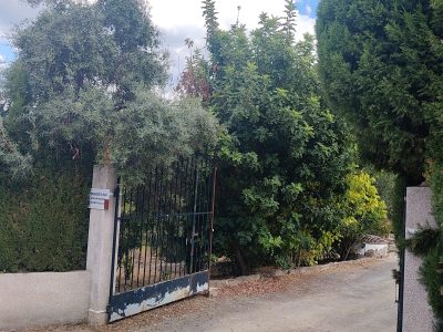 Finca rustica con casa de campo