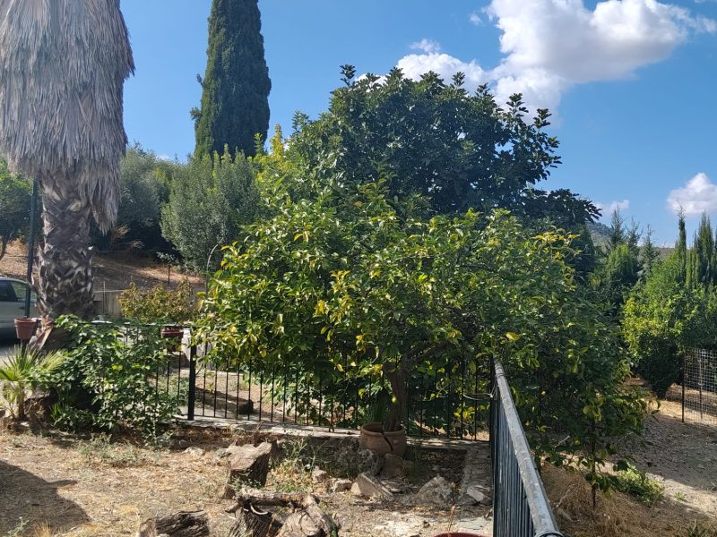 Finca rustica con casa de campo